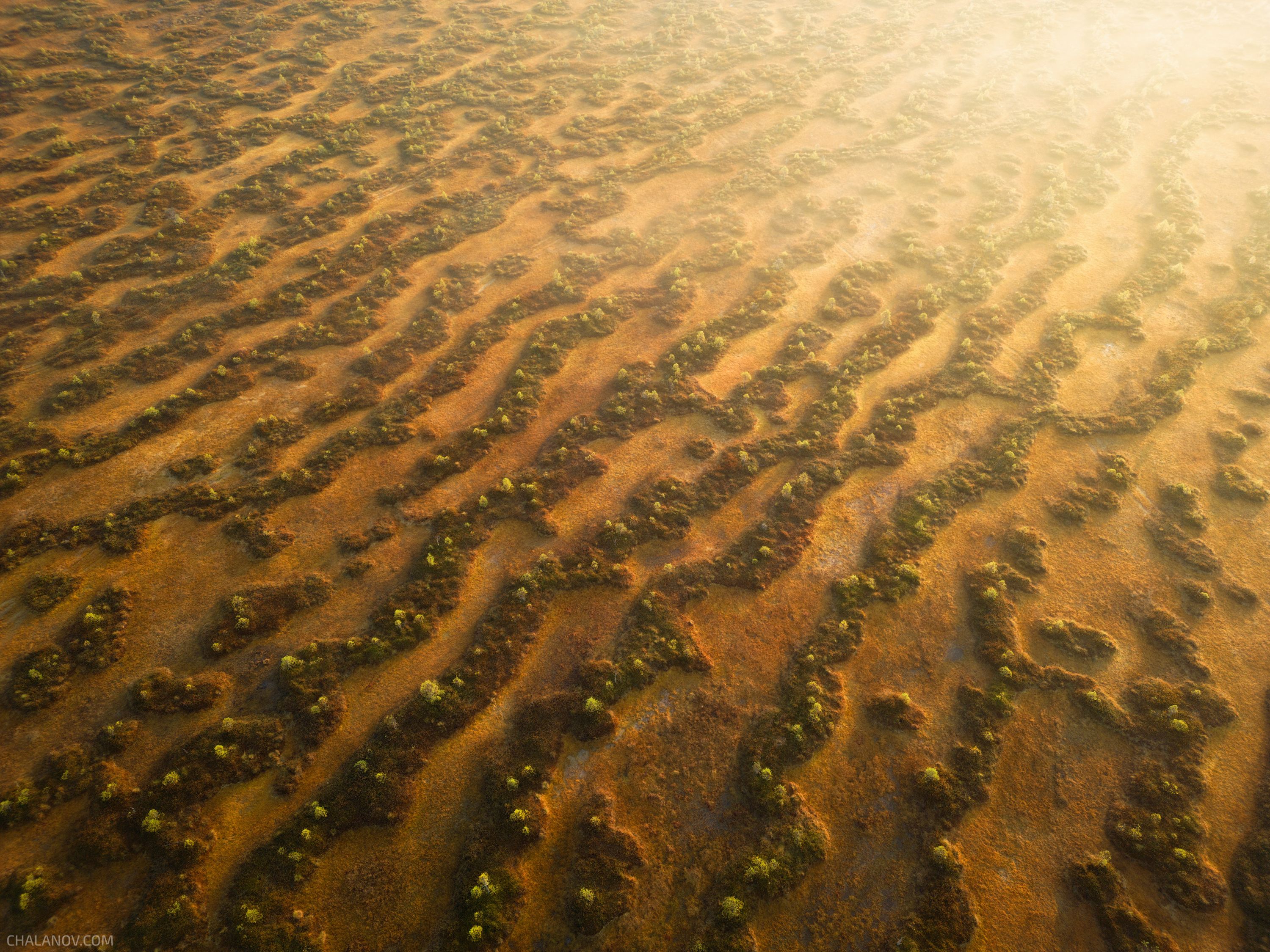 Лабиринты болот