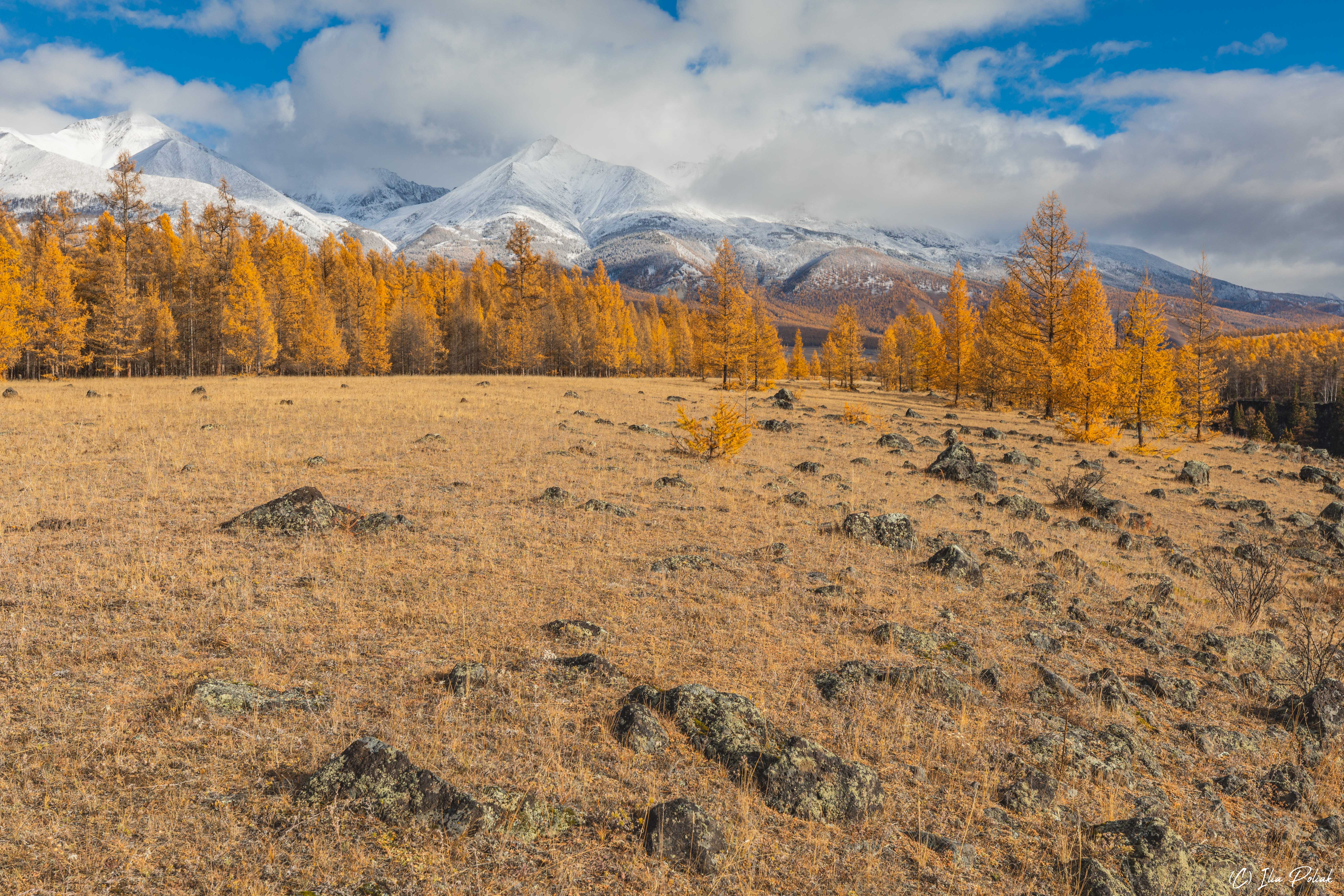 1672858608-f1b076b5768bf34294058ad1fd7dd