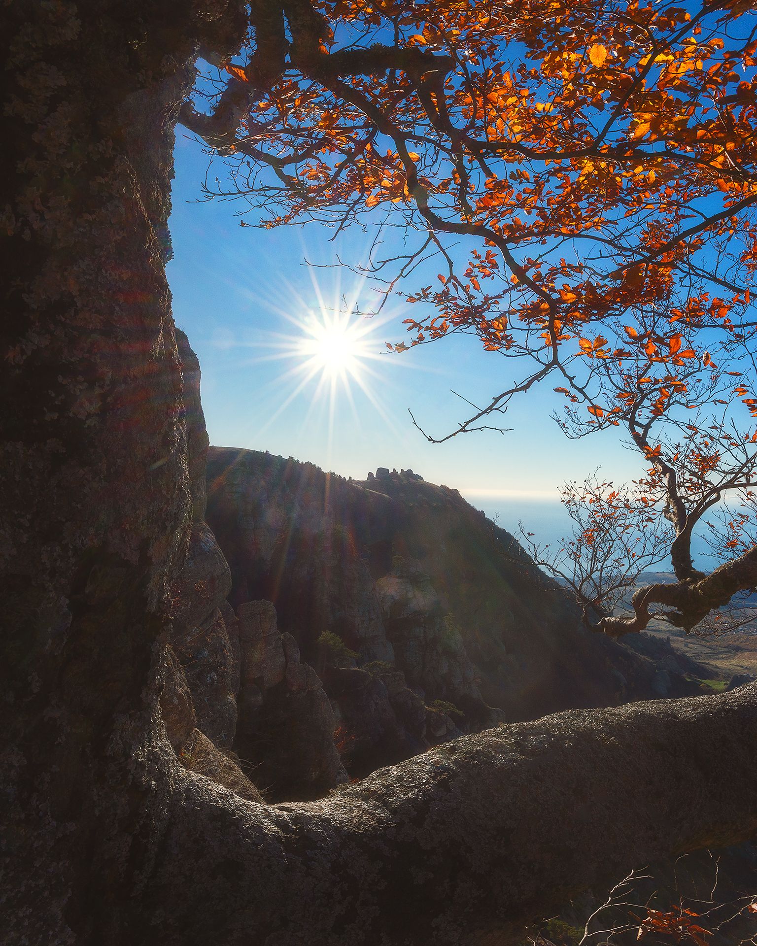 В лучах утреннего солнца