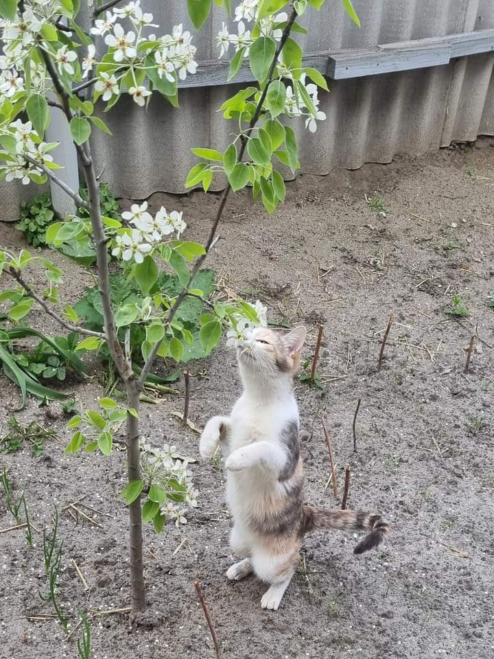 1652279021-f6aca1a2475f3139f7f8fe2fc748b