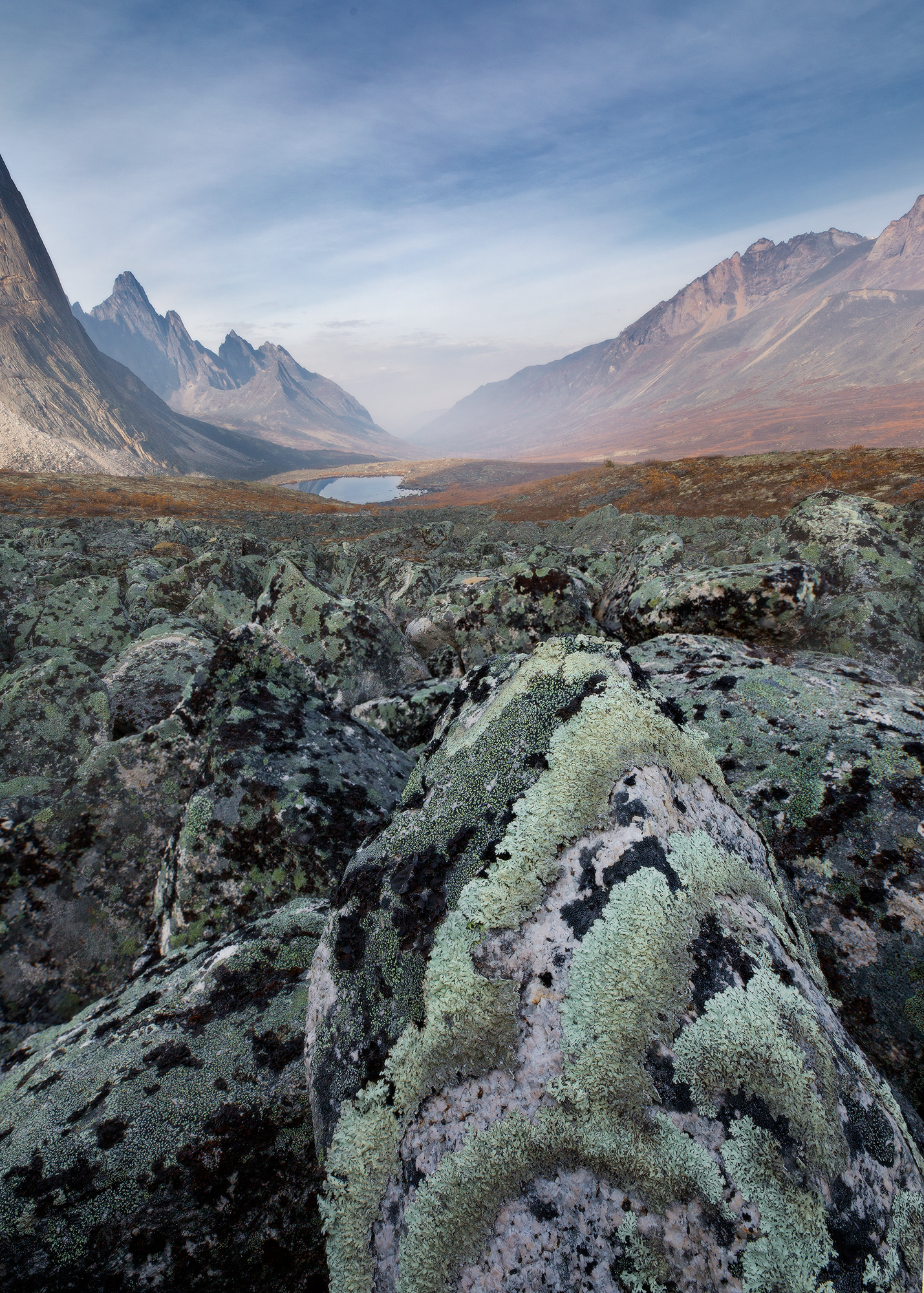 1650409339-f81fd4db4c7f0fb96f30cfe531d90