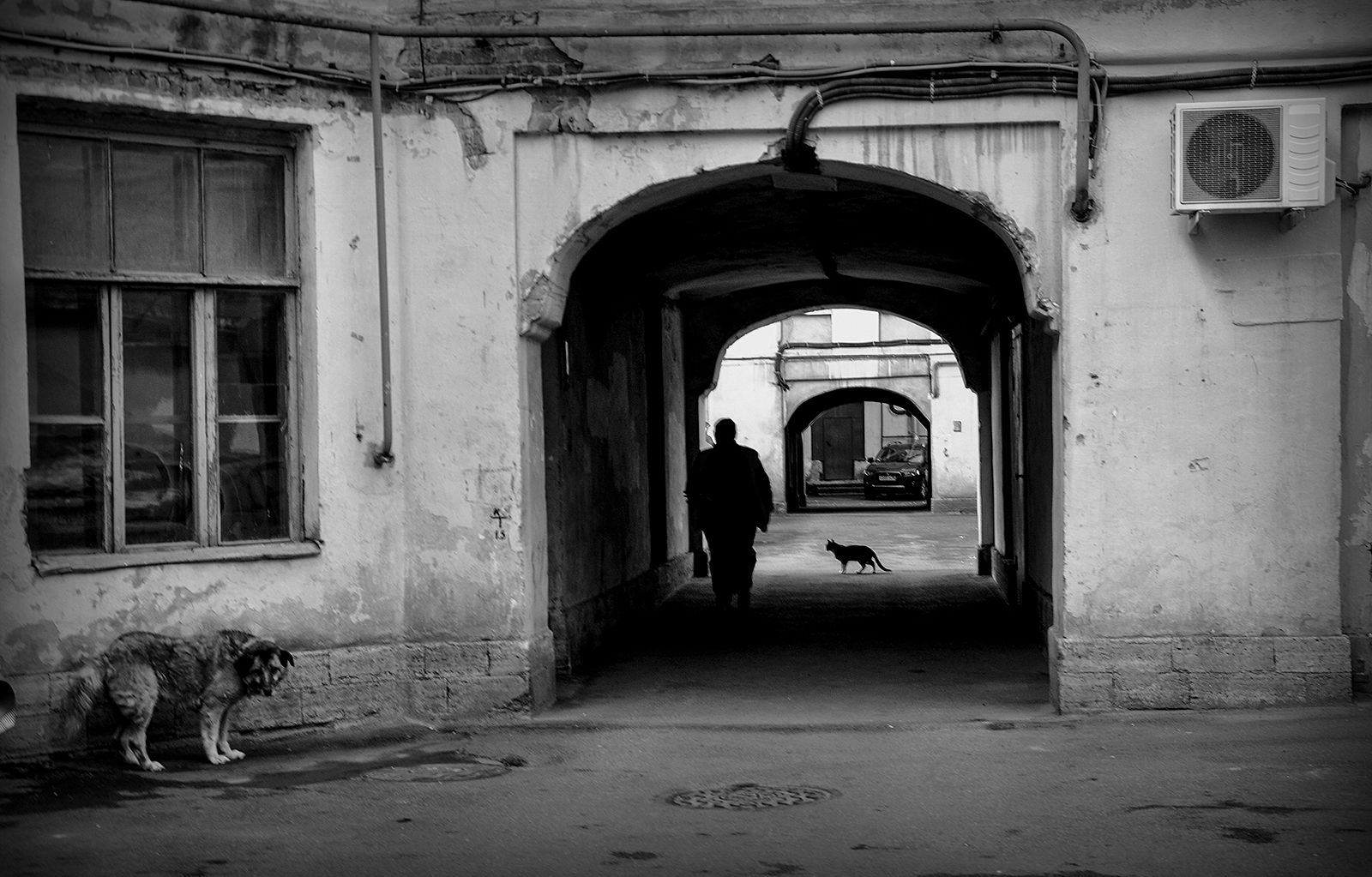 Обитатели питерских "колодцев"