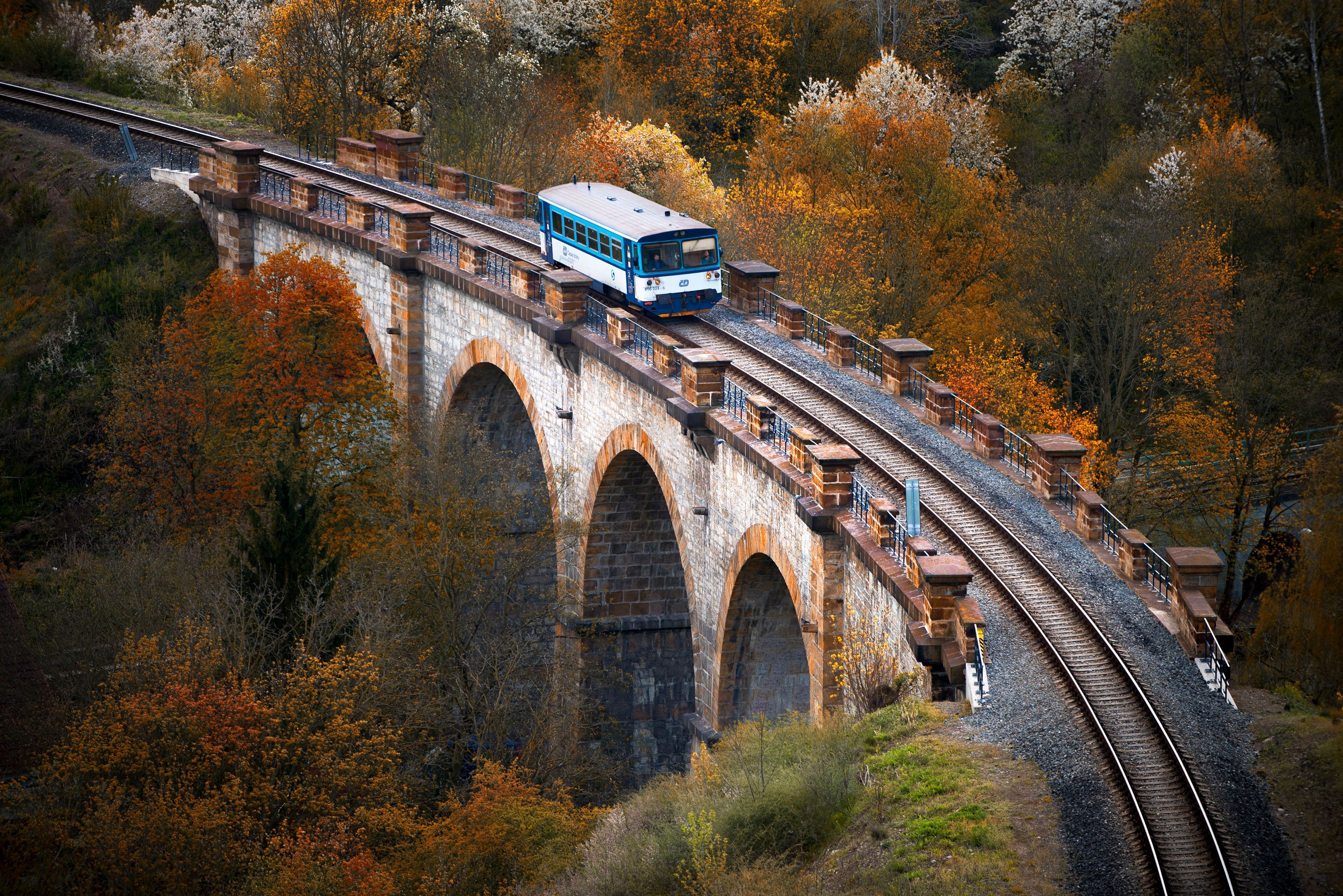 1767011545-f8494924b3da2d5bf14ce26180728