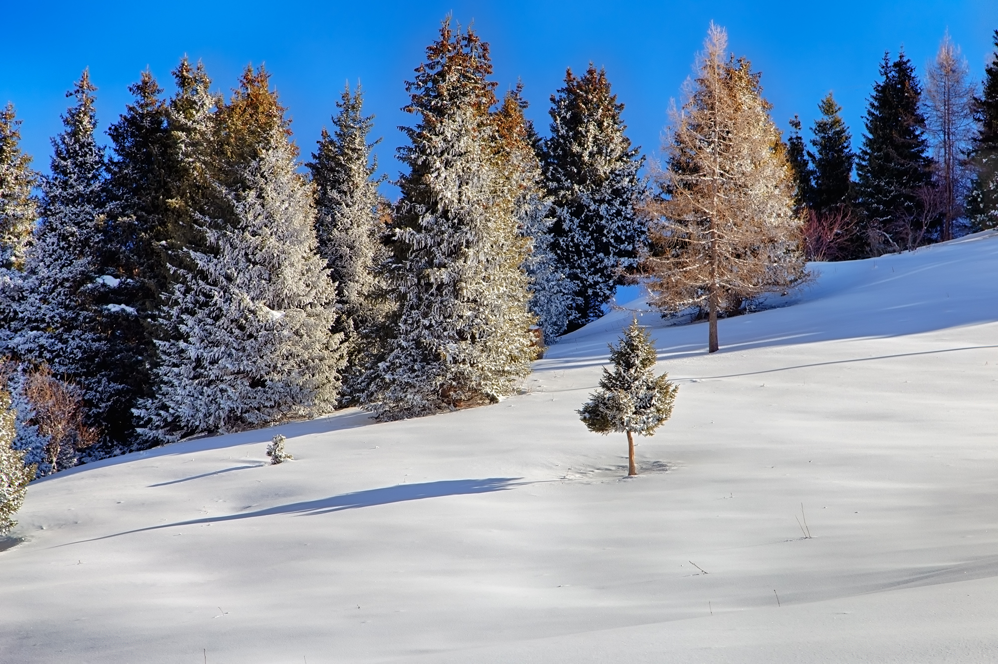 1672143614-f8b072bcc296ec0b90f04d4ada0e0