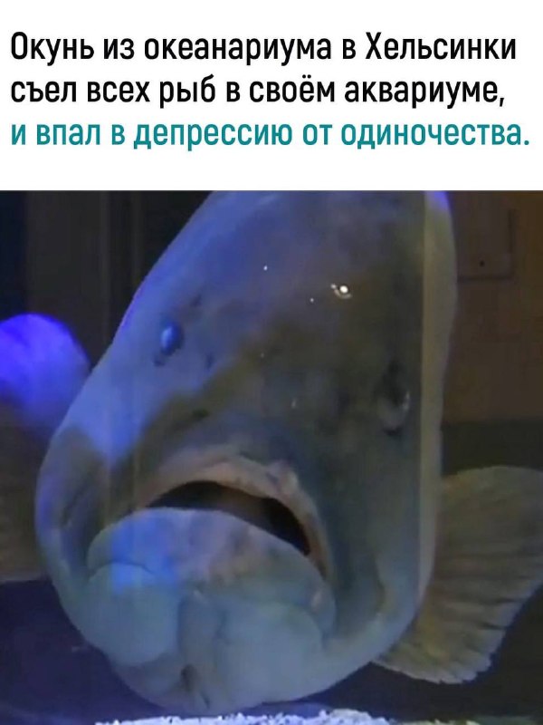 1652330076-fa7f2368130abebb79f5fa2c9a7f0