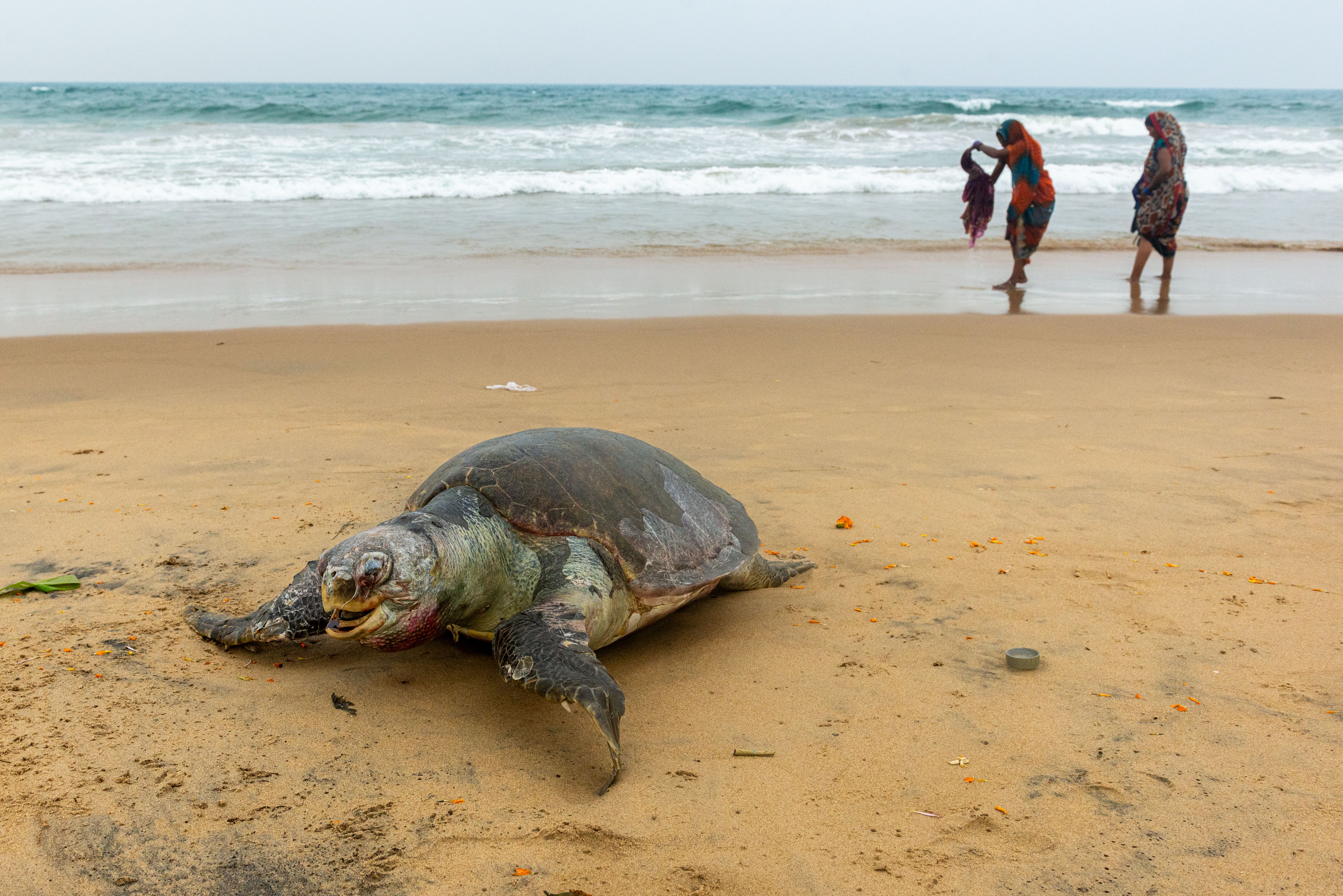 When the tide brings detergent instead of waves…