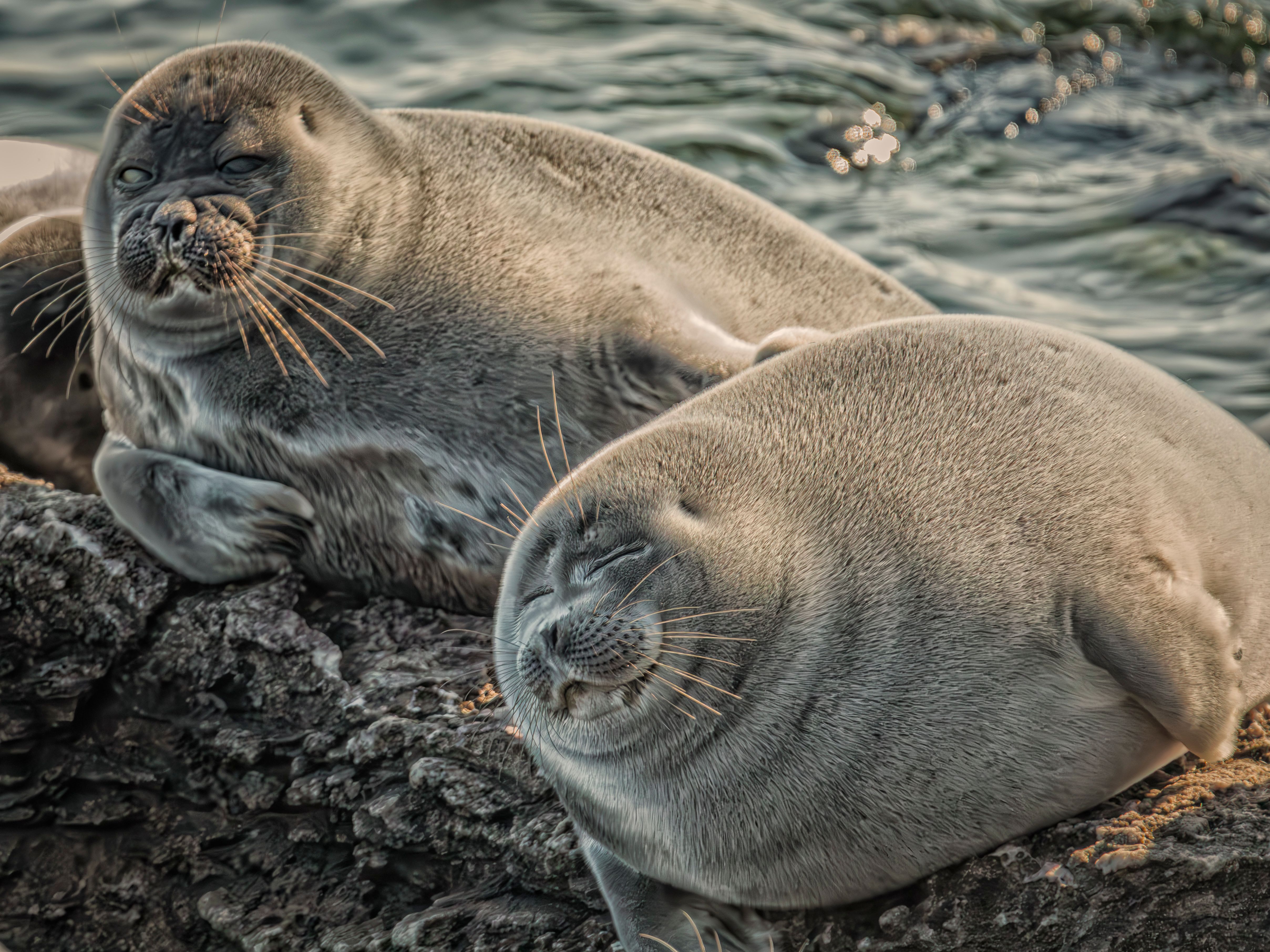Семейный портрет