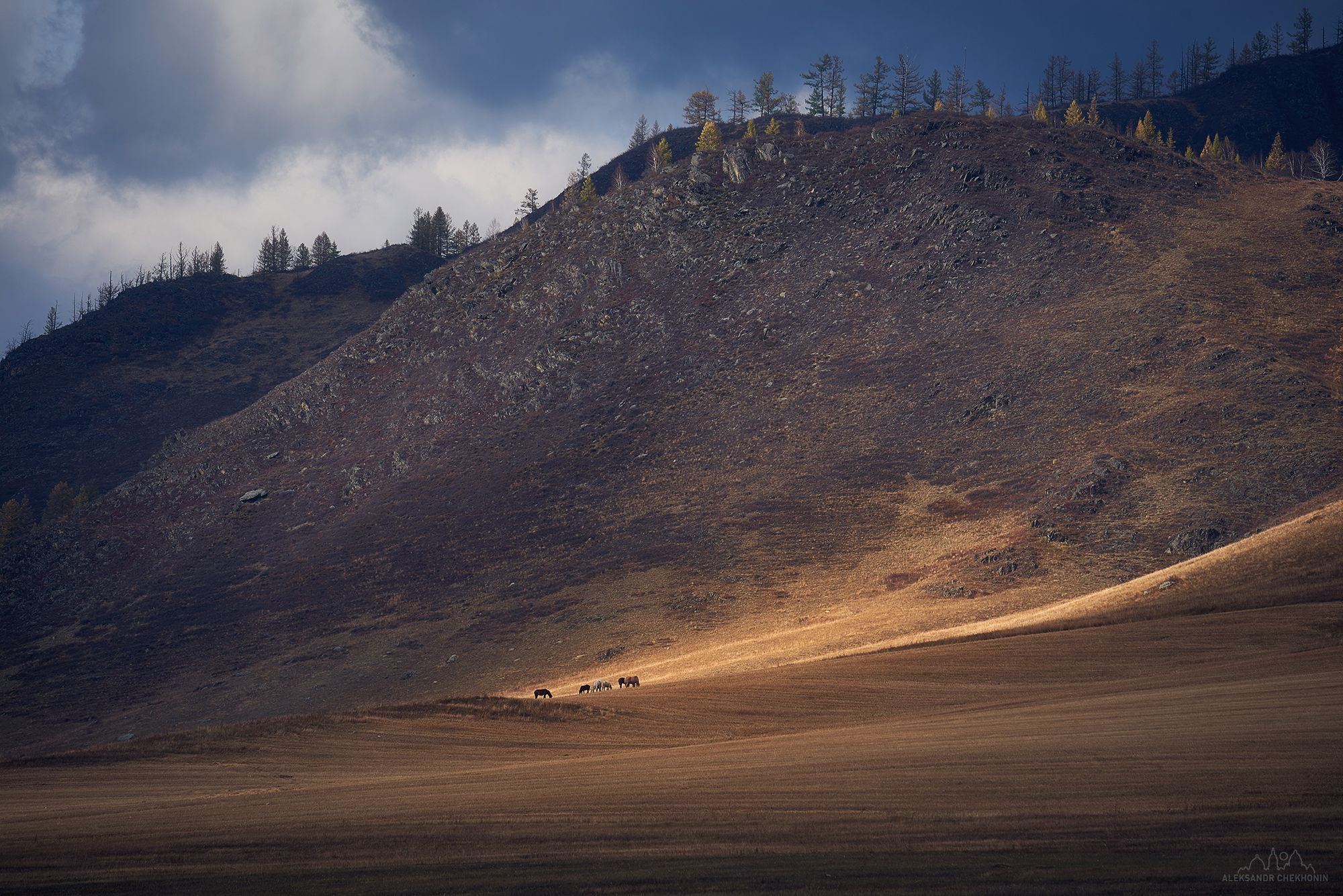 Между светом и тенью