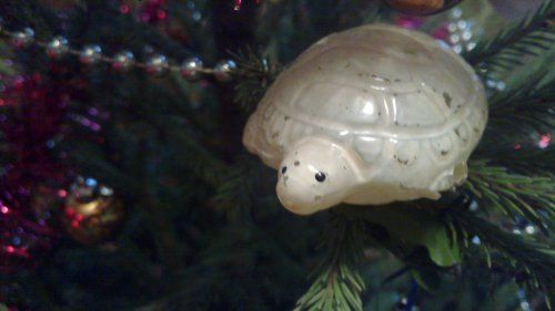 размер 500x281, 27.16 kb