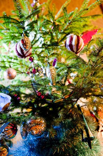 размер 333x500, 241.48 kb