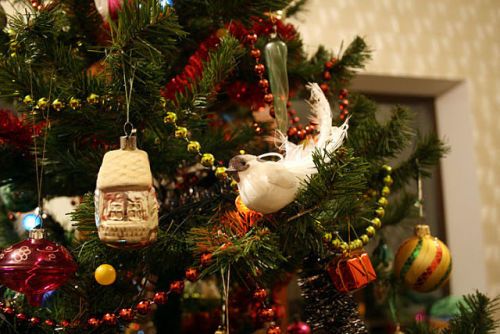 размер 500x334, 54.25 kb