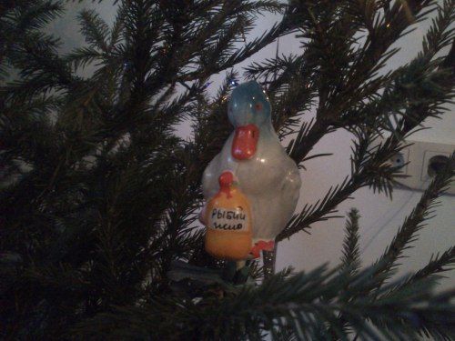 размер 500x375, 44.49 kb